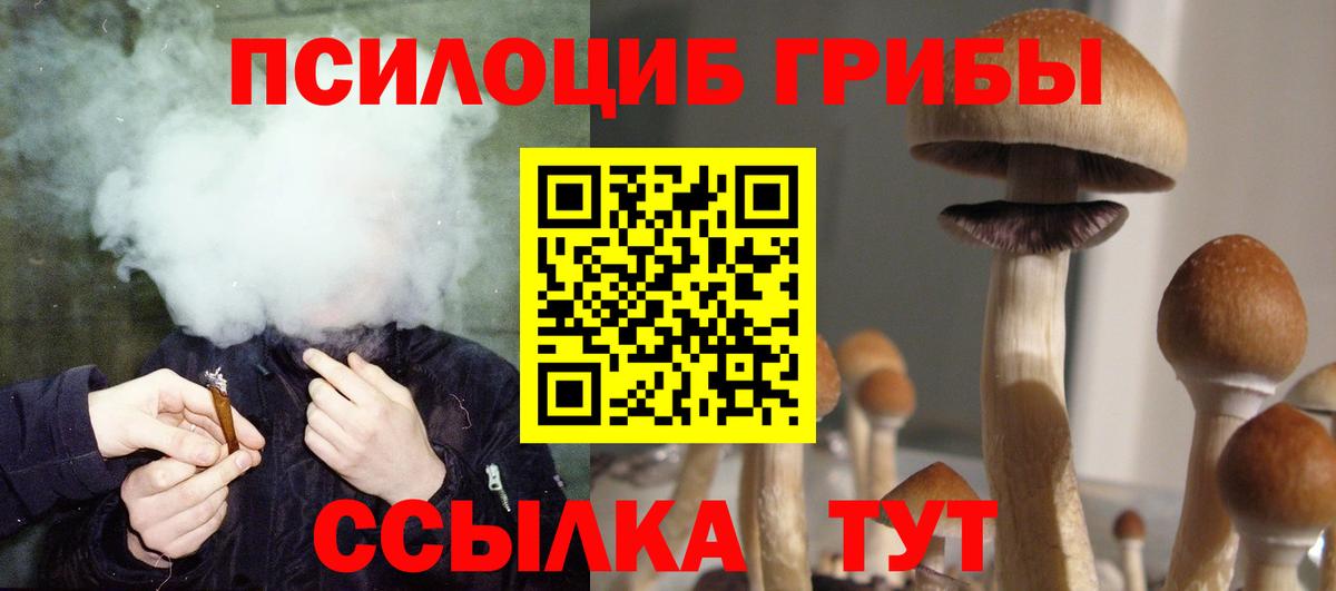 Галлюциногенные грибы ЛСД  что такое наркотик  Ирбит  Вход с VPN 