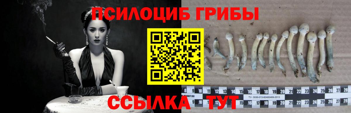 Псилоцибиновые грибы мицелий Ирбит